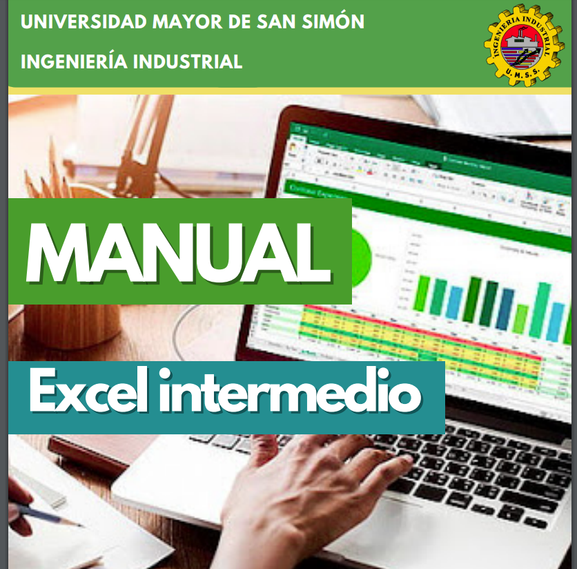 Manual Excel
